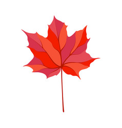 Autumn Maple Leaf