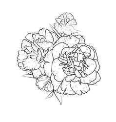 January Line Drawing Simple Carnation Tattoo