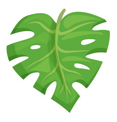 Palm Monstera Icon Cartoon Vegetation