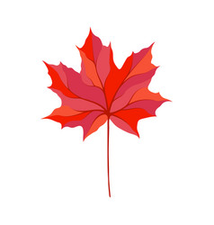 Autumn Maple Leaf