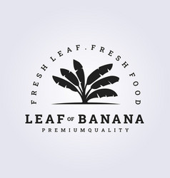 Banana Leaf Logo Design