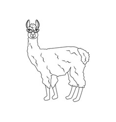 Llama In Cateye Glasses Outline