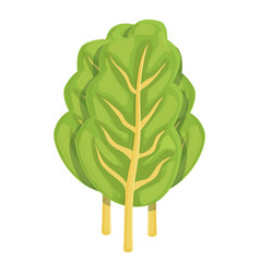 Natural Chard Icon Cartoon Green Plant