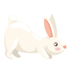 Cute Rabbit Animal