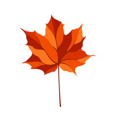 Autumn Maple Leaf