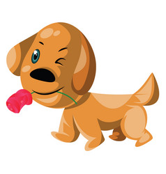 Light Brown Dog Holding A Pink Rose In His Mouth