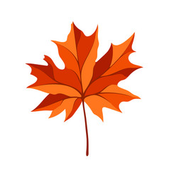 Autumn Maple Leaf