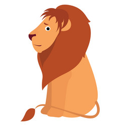 Scared Lion On White Background