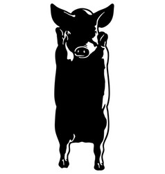 Funny Pig Standing On Two Leg Silhouette