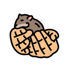 Hamster Hand Pet Color Icon