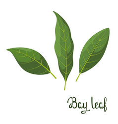 Bay Leaves