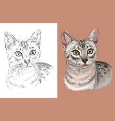 Portrait Egyptian Mau Cat