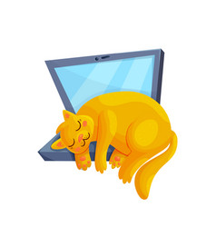 Cute Sleeping Cat On Laptop