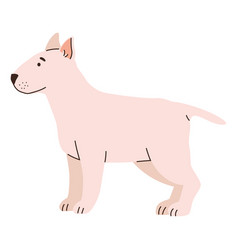 Dog Bull Terrier