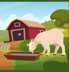 Goat Farm Cartoon Background With Eating Food