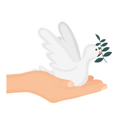 Hand Lifting Dove Flying With Olive Branch