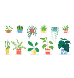 Potted Plants Set