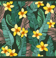 Pattern Of Banana Leaves And Plumeria