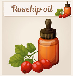 Rosehip Oil And Berries In Bottle