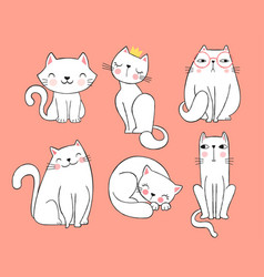 Cute White Cats