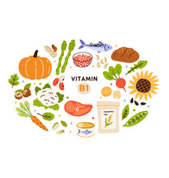 Collection Vitamin B1 Sources Food Containing