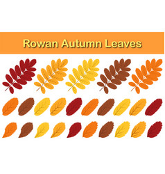 Autumn Rowan Leaf Set