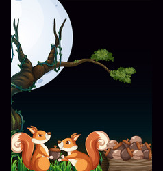 Scene With Two Squirrels Collecting Nuts At Night