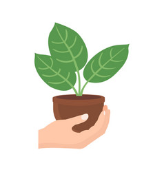 Hand Holding Plant Pot Flat Icon Design