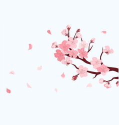 Sakura Branch Cherry Blossom With Falling Petals