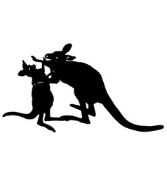 Two Kangaroos Fighting Black Silhouette Isolated