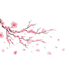 Blossom sakura cherry Royalty Free Vector Image