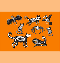 Animal Skeleton Halloween Celebration Set