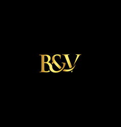 Luxury B And V Abstract Letter Logo Design