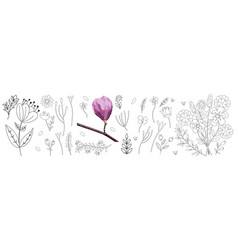 Set Of Floral Branch And Plants Line Art