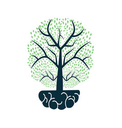 Brain Tree Grow Logo Design