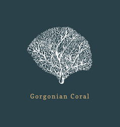 Gorgonian Coral Drawing