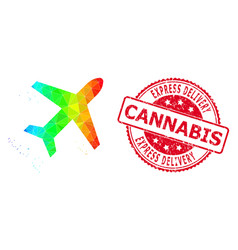 Round Textured Express Delivery Cannabis Badge