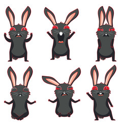 Crazy Black Bunny In Different Poses Set