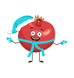 Pomegranate Character In Santa Hat With Happy