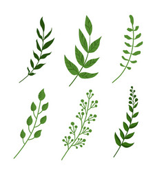 Spring Isolated Green Sprigs Of Grass Clipart