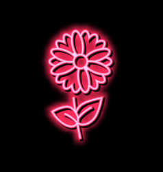 Chamomile Flower Aromatherapy Neon Glow Icon