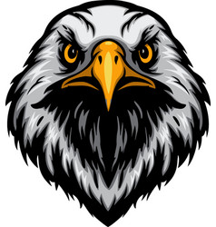 Cartoon Eagle Head Mascot