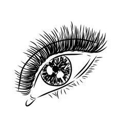 Beautiful Woman Eyes Black And White Drawing