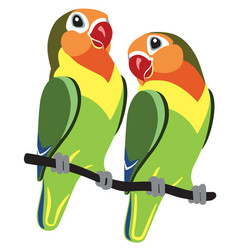 Cartoon Fischer Lovebirds