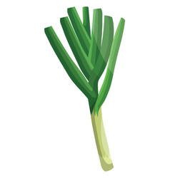 Light Green Leeks With Dark Green Leafs