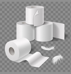 Toilet Paper Rolls Composition