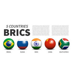 Brics Association 5 Countries Banner 3d