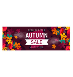 Autumn Sale Banner