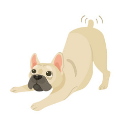 Cute French Bulldog Playful Tail Wags Cartoon