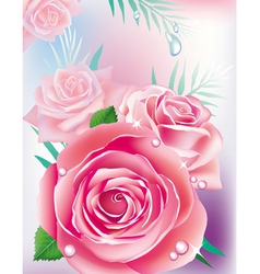 Greeting card with roses Royalty Free Vector Image